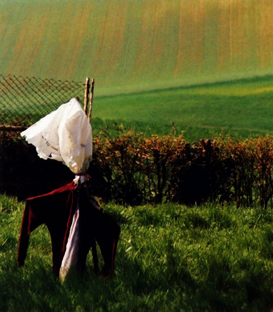 The scarecrow.