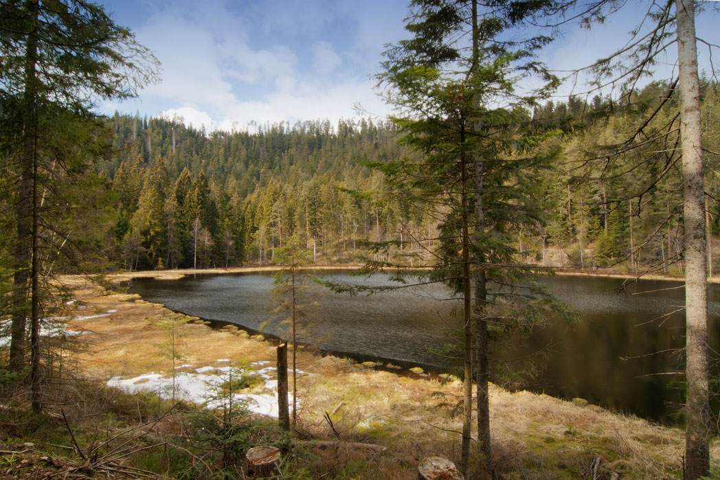 The Schurmsee in the Blackforest (Baeirsbronn)