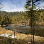 The Schurmsee in the Blackforest (Baeirsbronn)