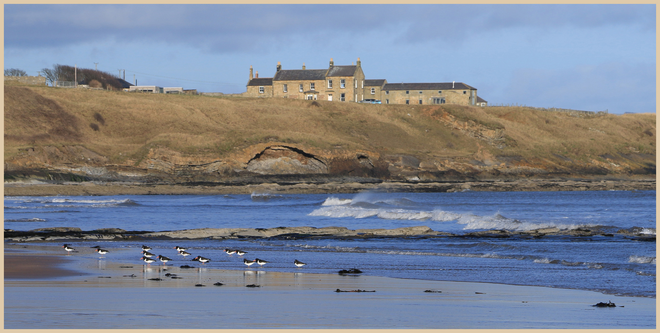 the sea house at cocklawburn