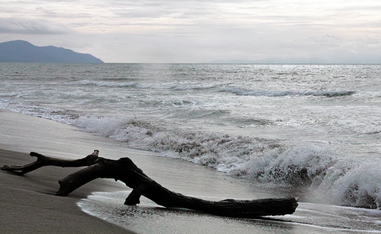 the sea in winter