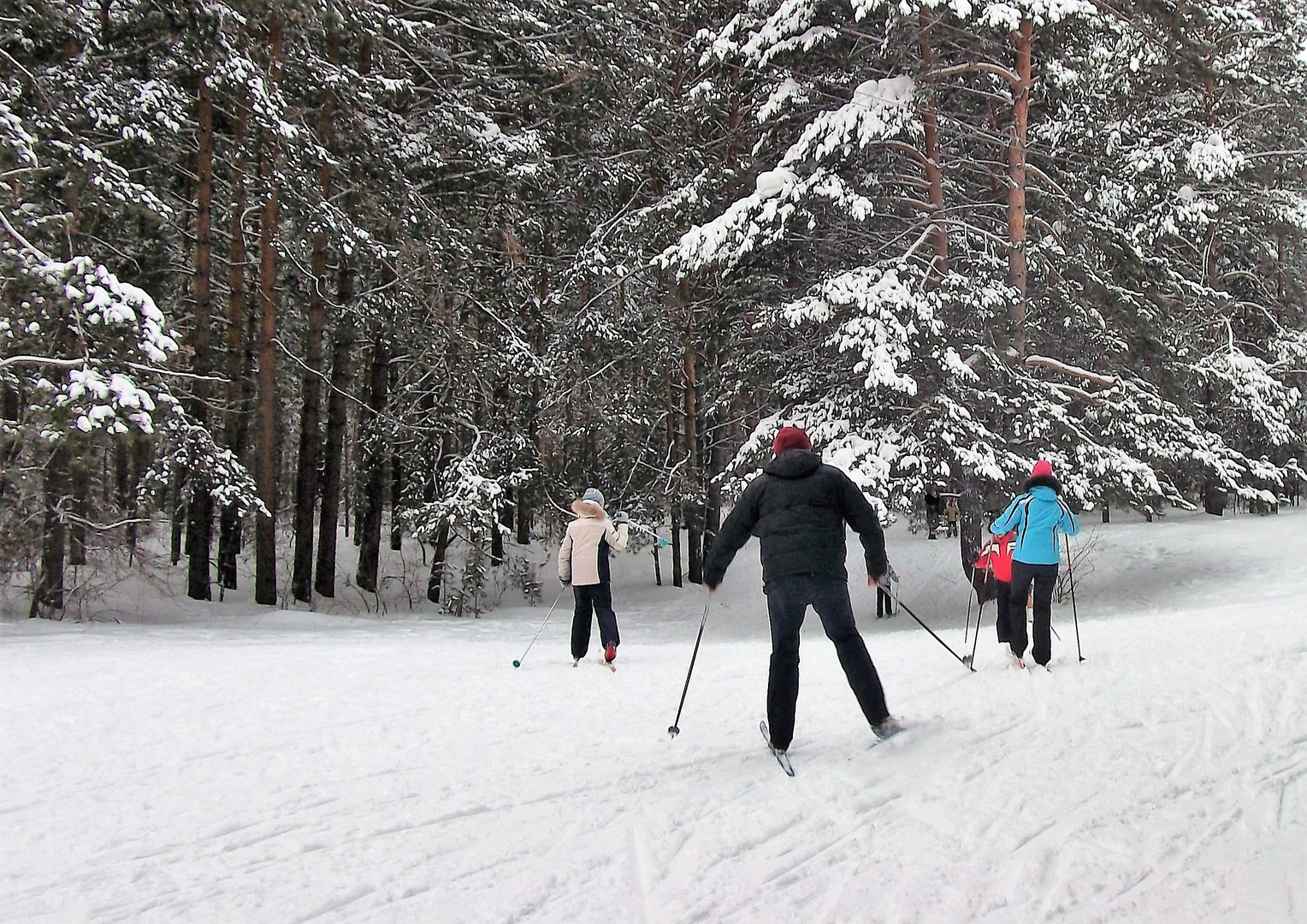 The Search For Santa Claus.Suche Nach Dem Weihnachtsmann