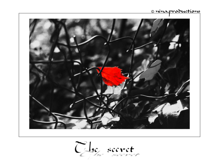 ~~ The secret ~~