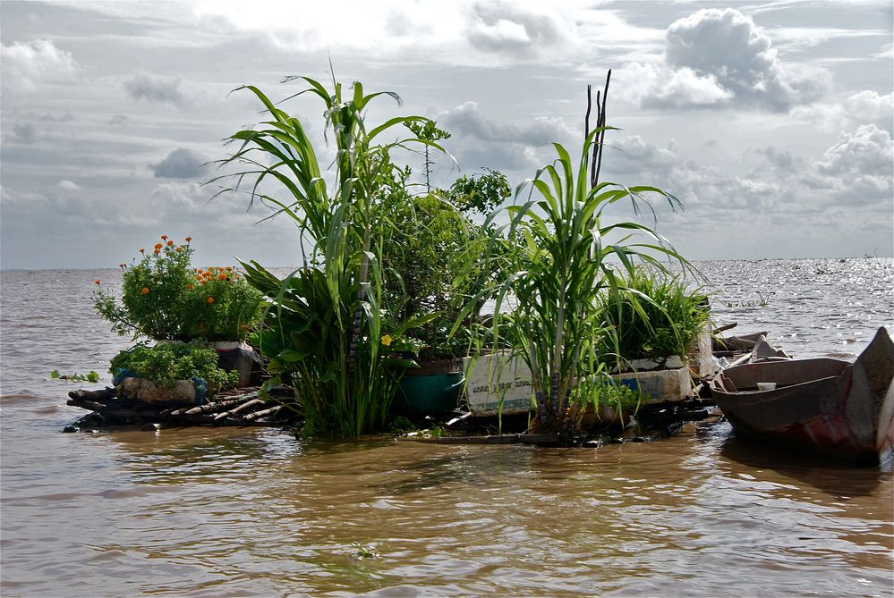 the secret garden, tonle sap, cambodia 2010