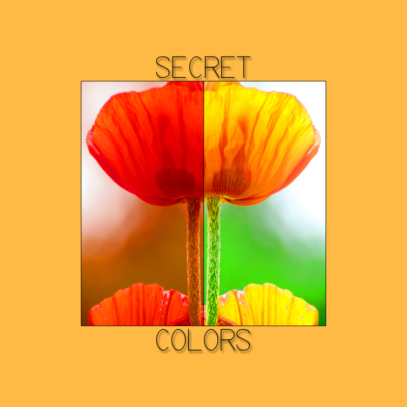 The secret of colors