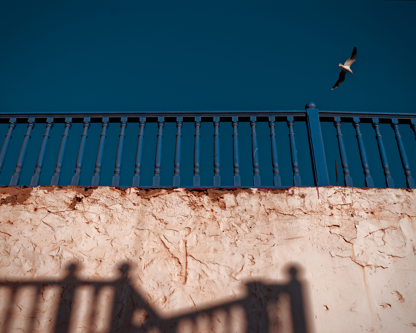 The Secrets of Essaouira