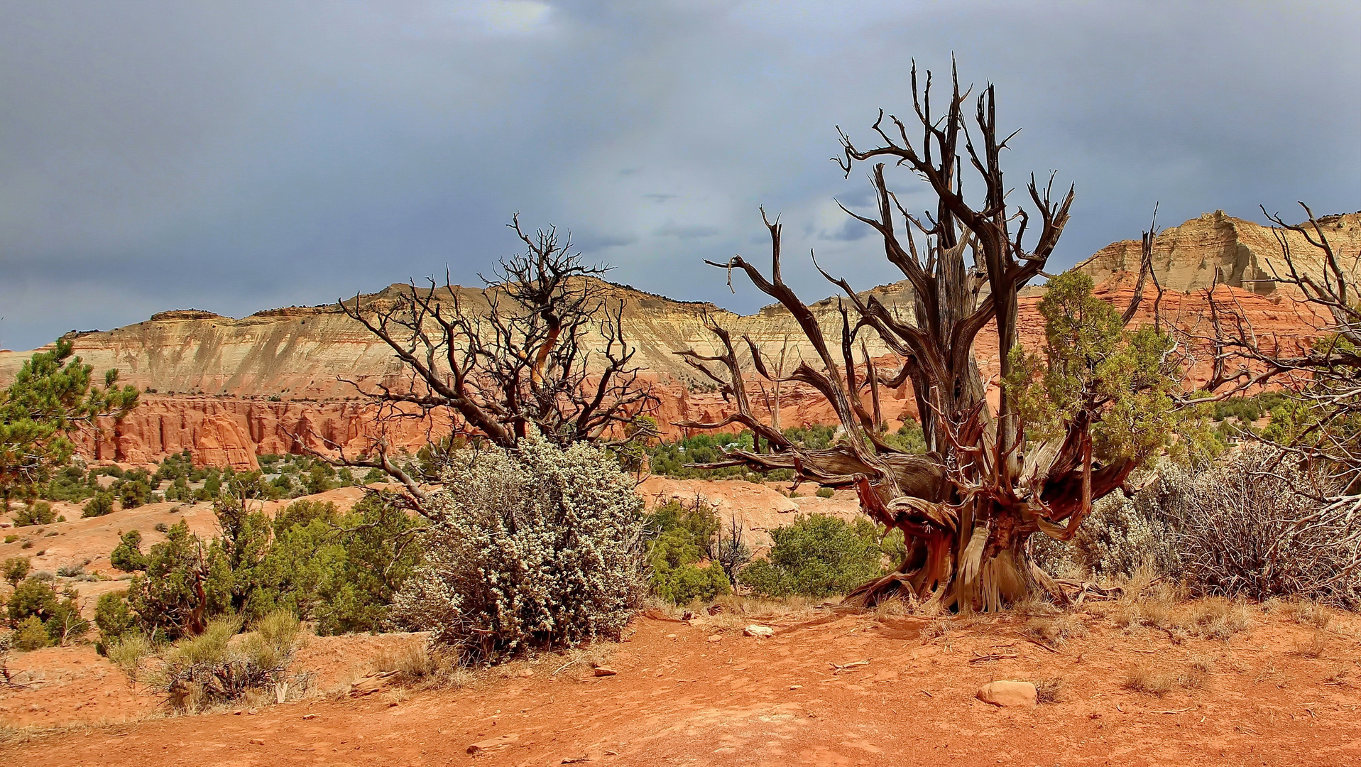 The Sentinel Trail