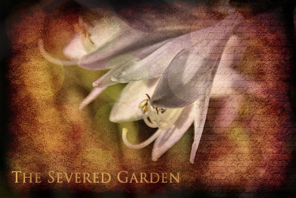 The Severed Garden