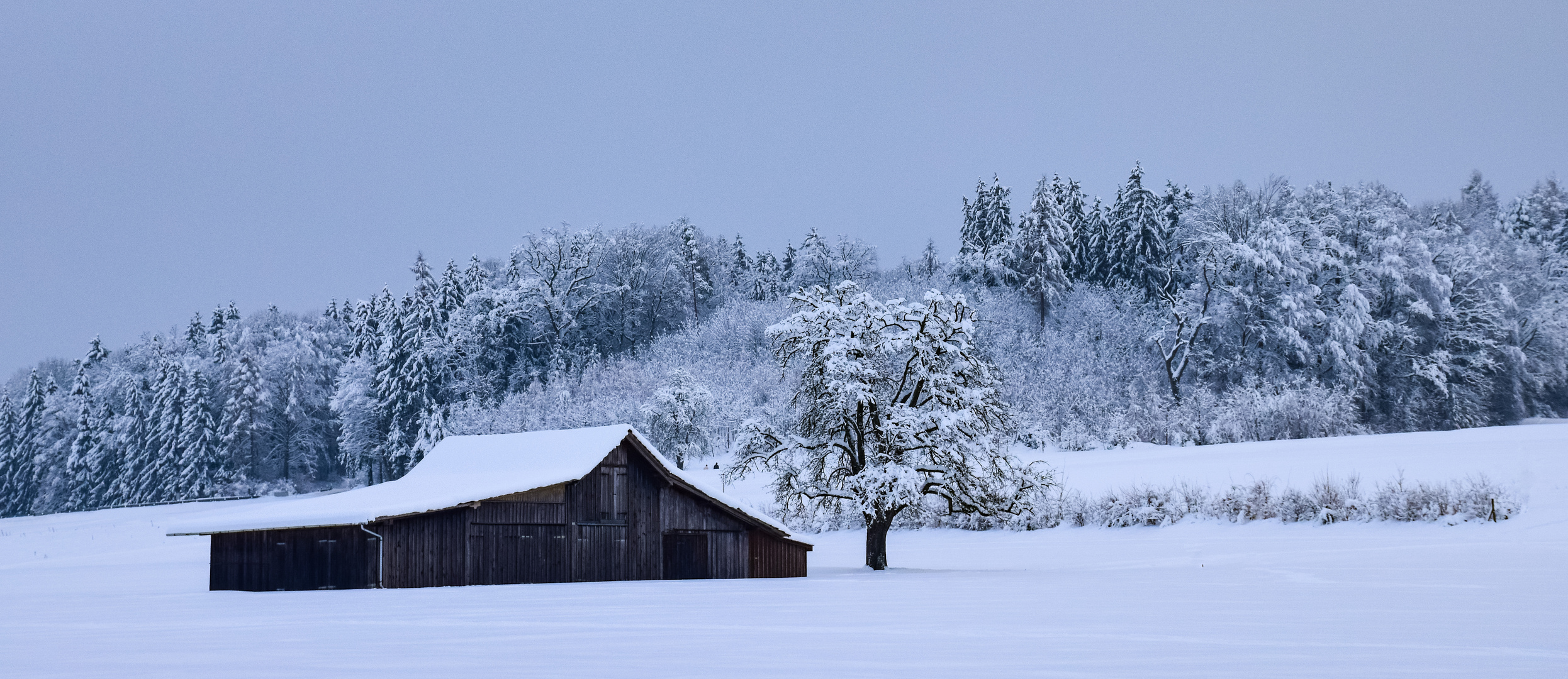 The Shack