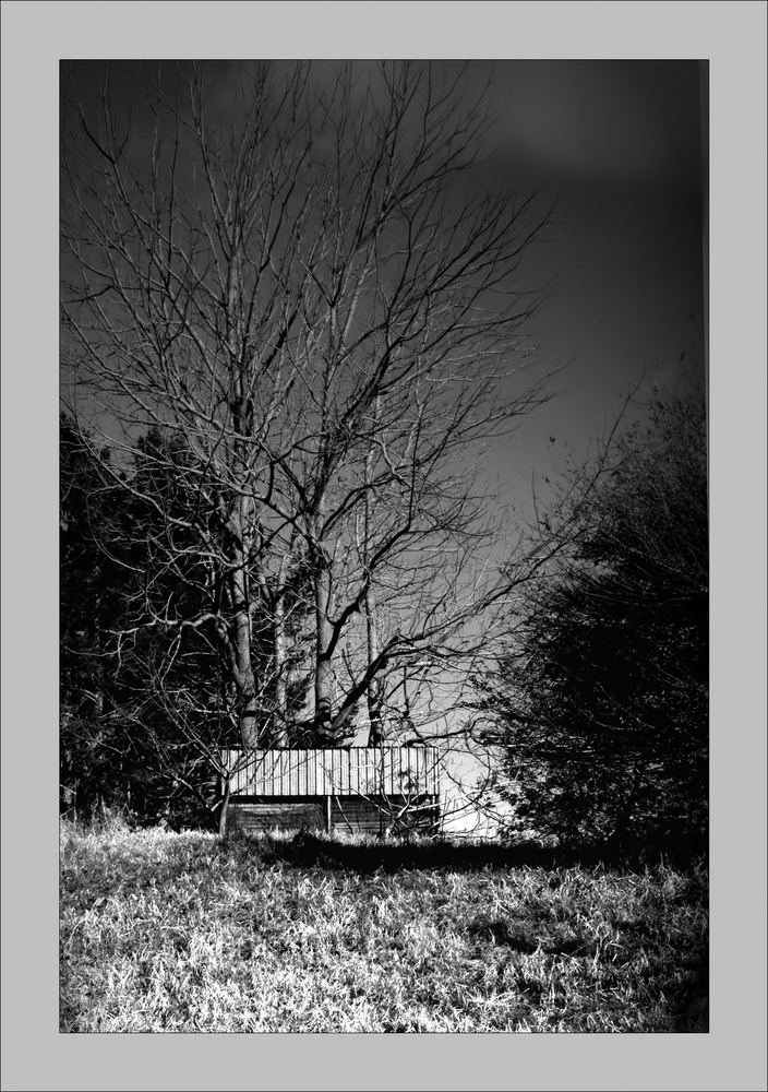 the shack in B&amp;W