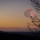 The Shadow and the Moon