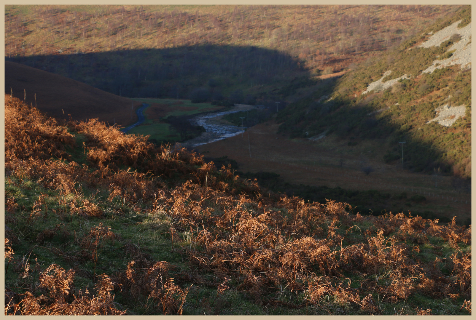 the shadow of brough law