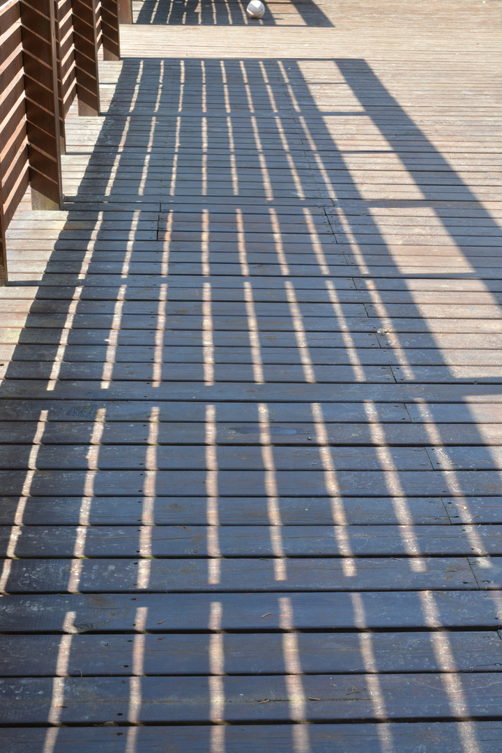 The shadow of fence