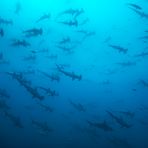 The shadows from Malpelo...