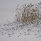 The shadows on the hard crust of snow