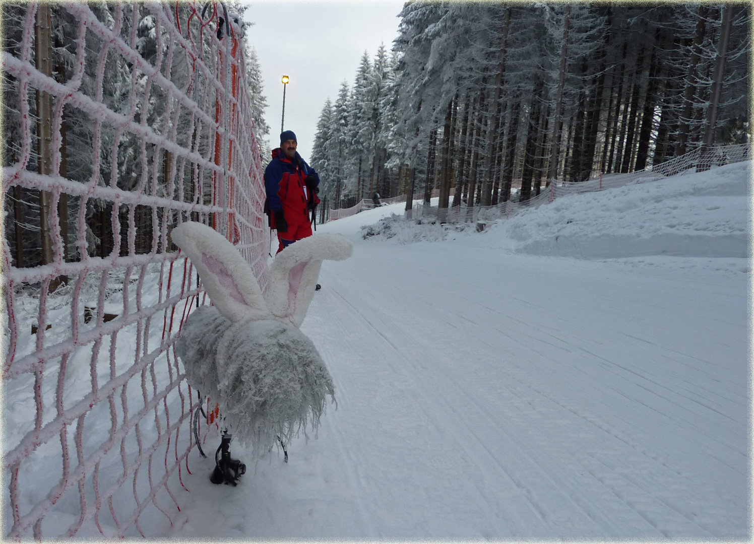 the shaggy ski trail rabbit