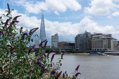 The Shard