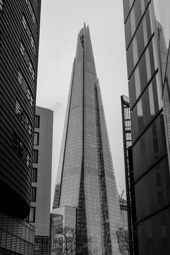 The Shard