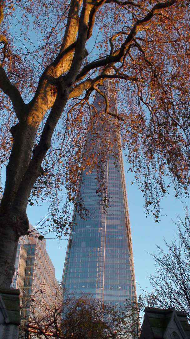 The shard, London