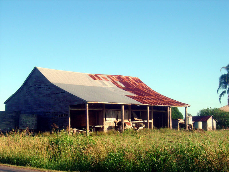 The Shed