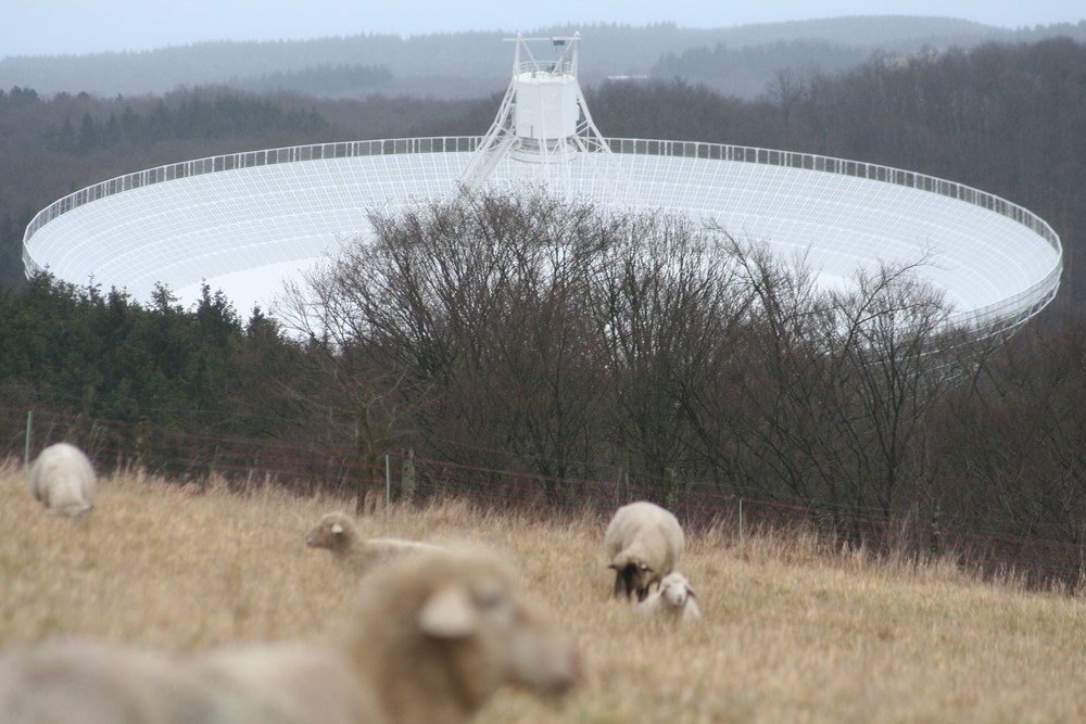 The Sheep And The UFO