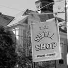 the shell shop !