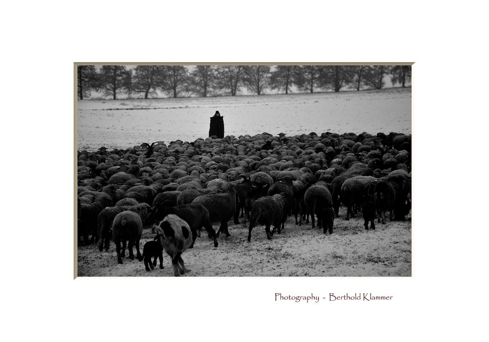 The Shepherd #2