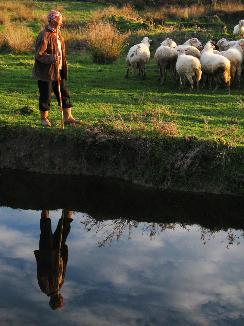 The Shepherd