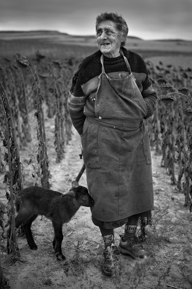 The Shepherdess and her Lamb.