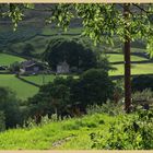 the shepherds hut at dalehead farm in rosedale