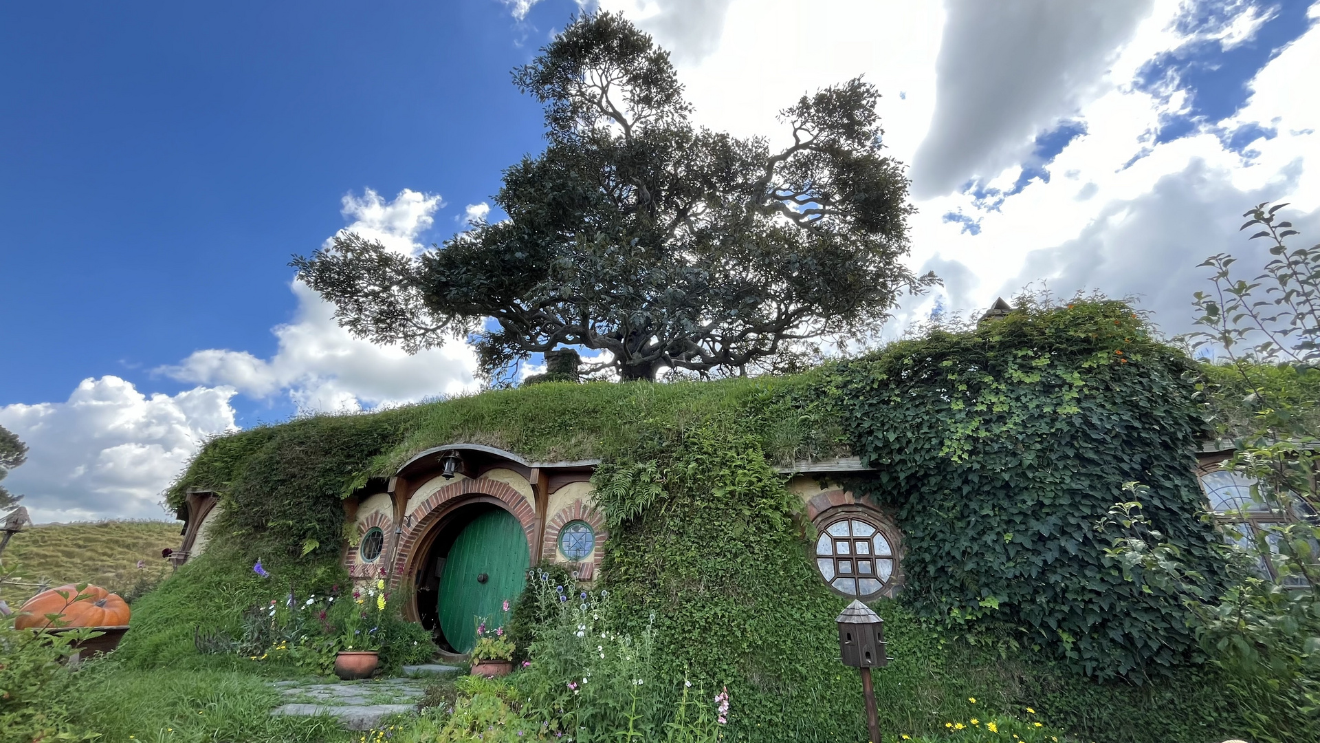 The Shire! Besuch in Hobbiton