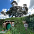 The Shire! Besuch in Hobbiton