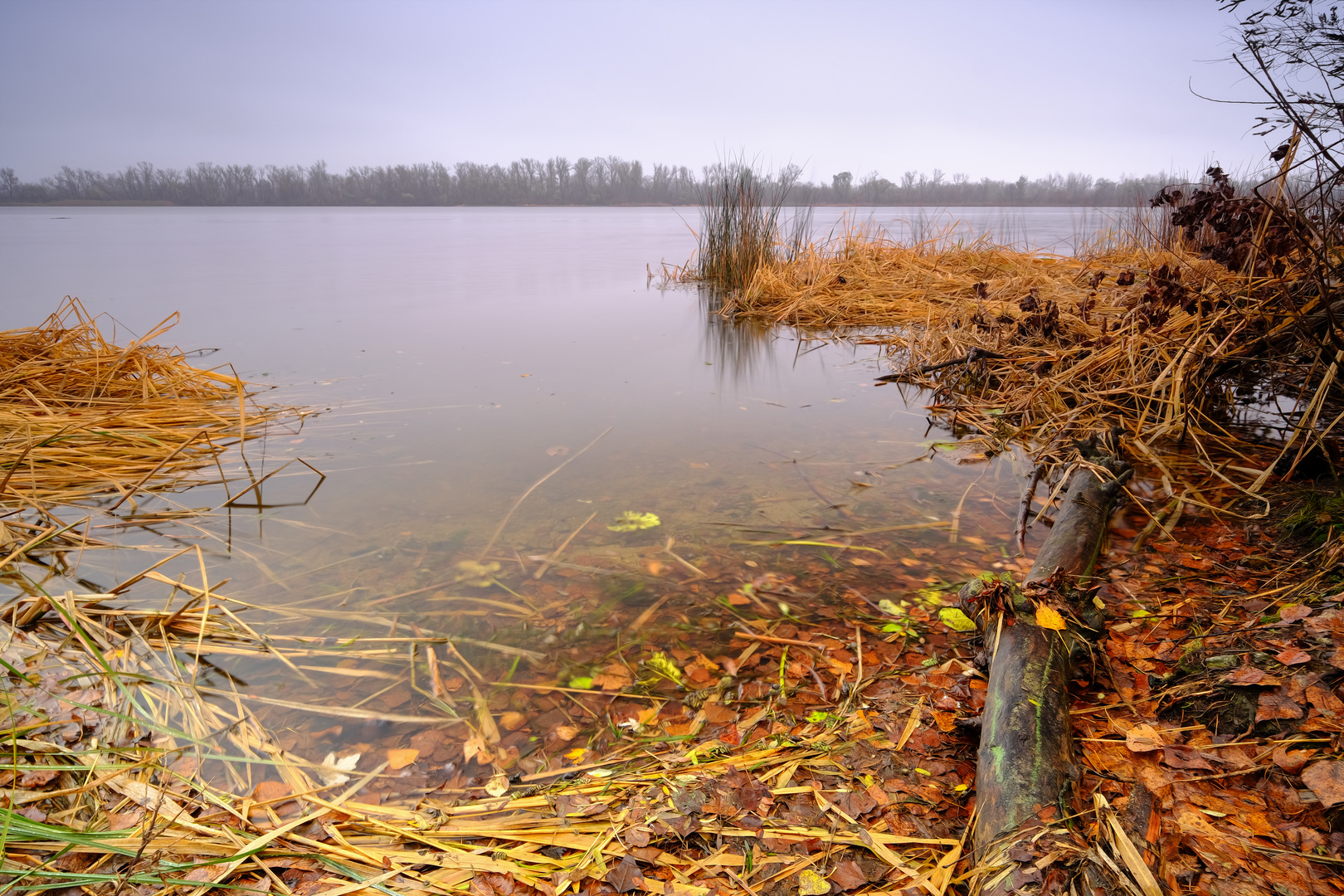 The shore of Dnipro river