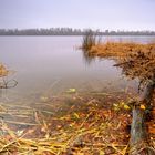The shore of Dnipro river