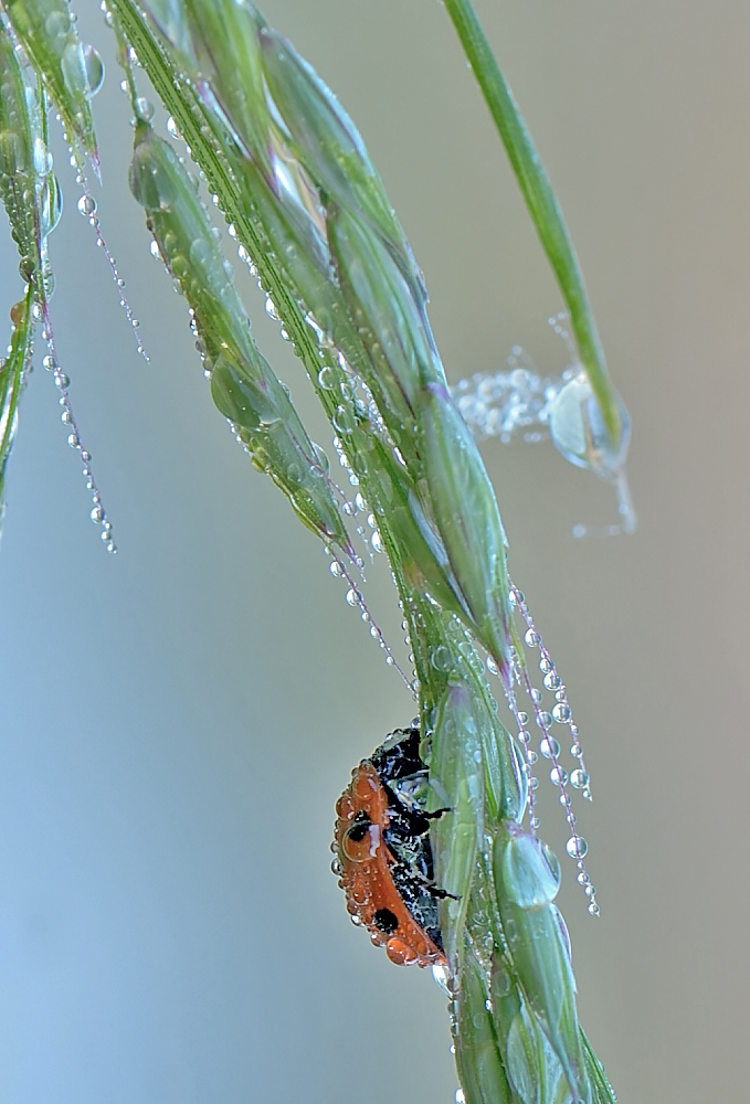 the shower...