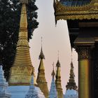 The Shwedagon at sunset