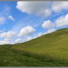 the side of barrow law Cheviot Hills