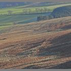 the Side of Brough Law Ingram valley