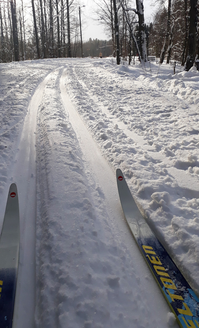 The sight during my 10 km skiing tour