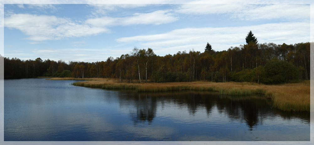 The silence of nature