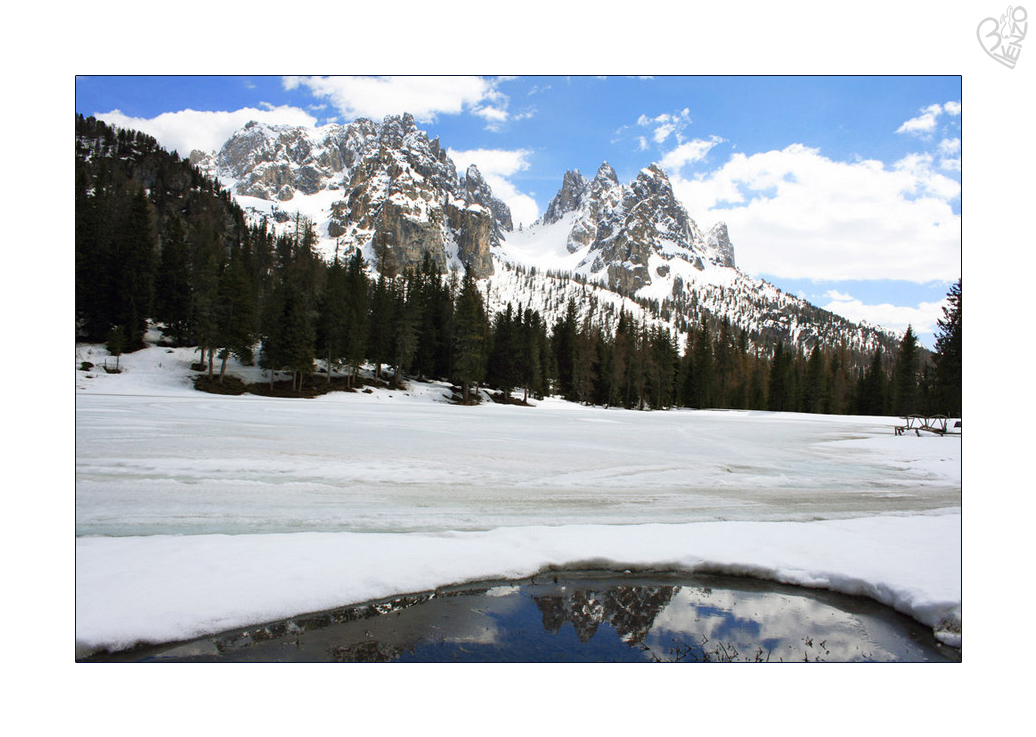 The silence of snow