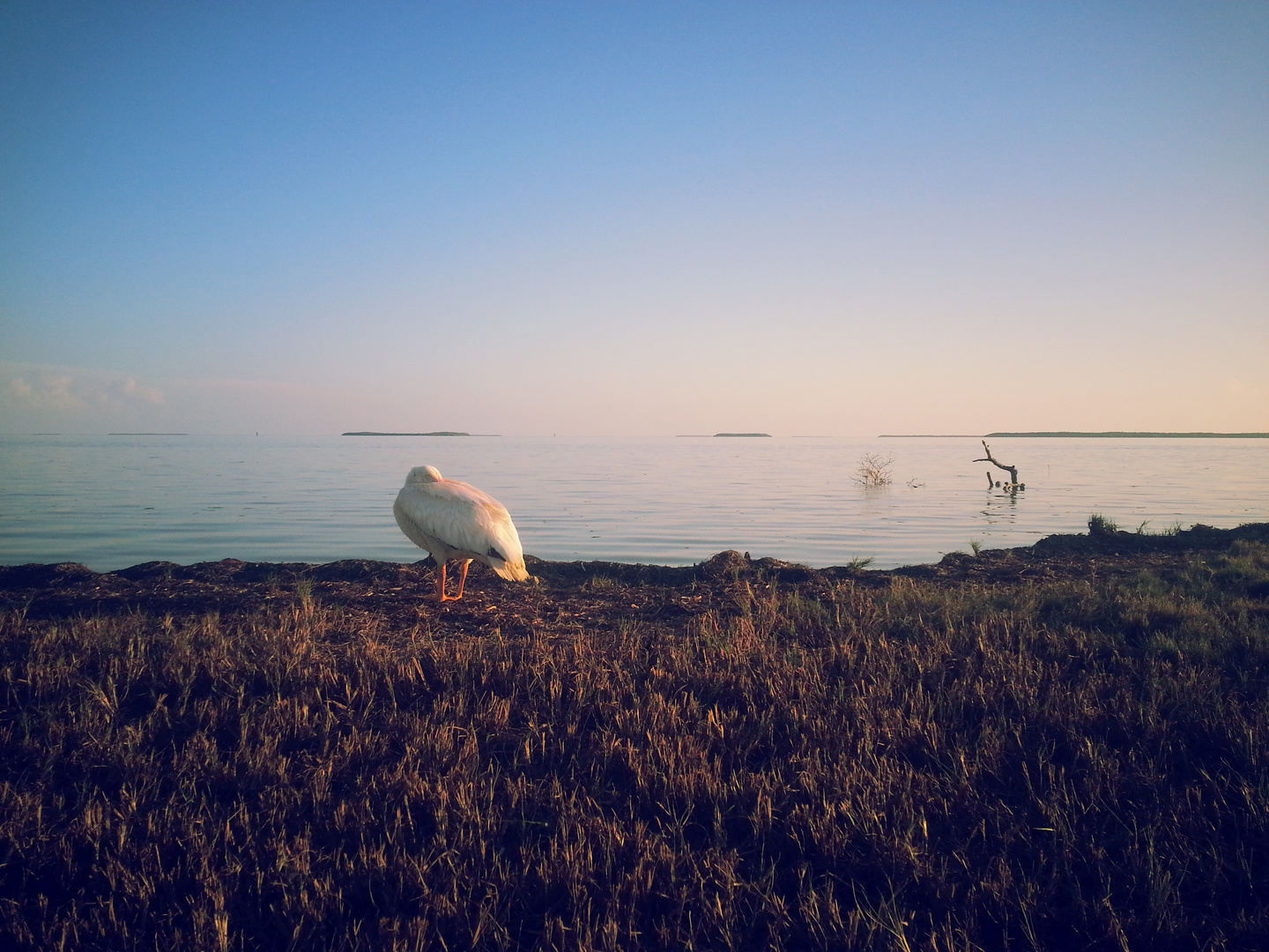 The silence of the southernmost point of the everglades