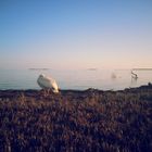 The silence of the southernmost point of the everglades