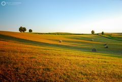 The Silence of the Village