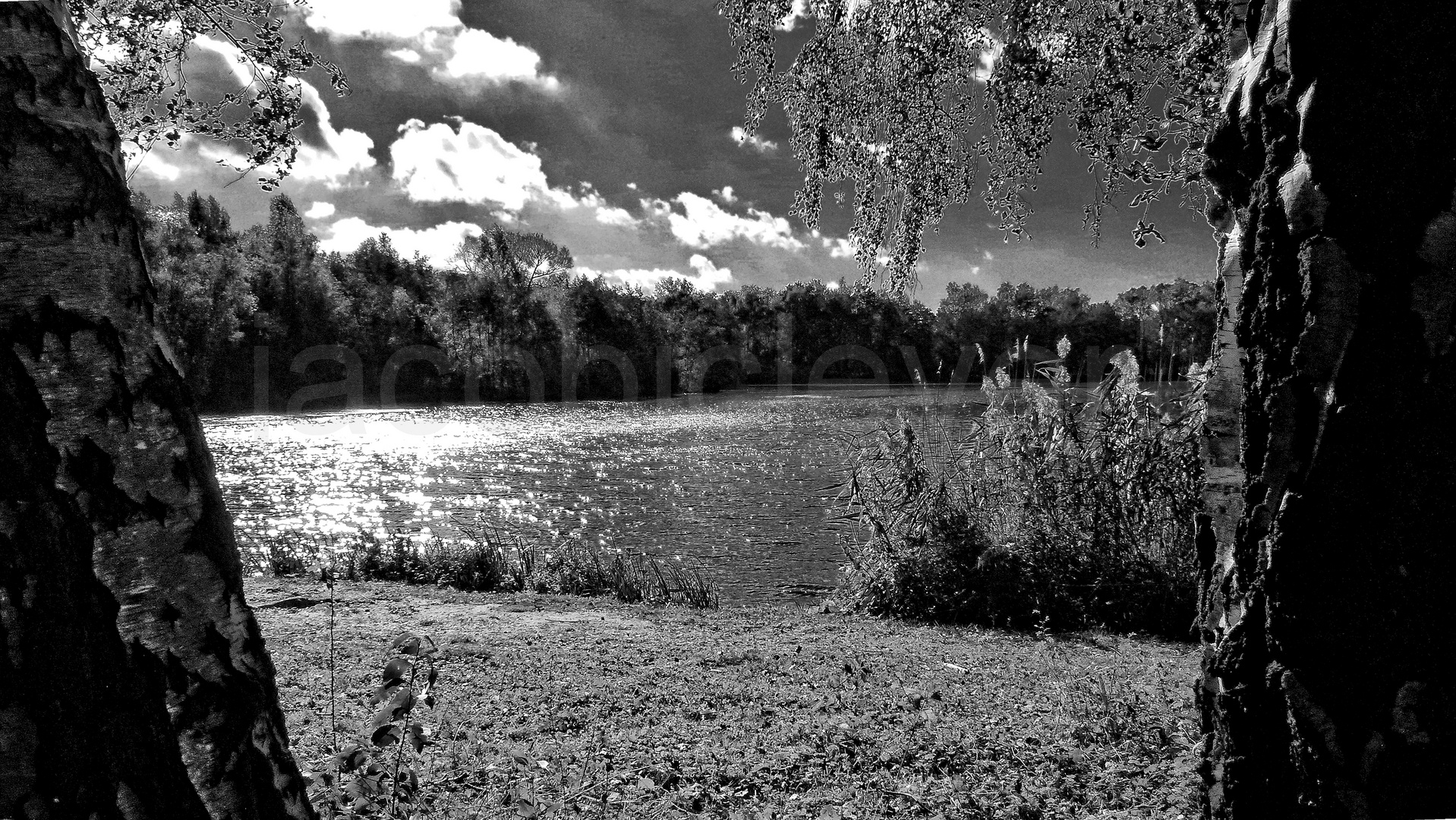 The silence on the lake... Die Stille am See.