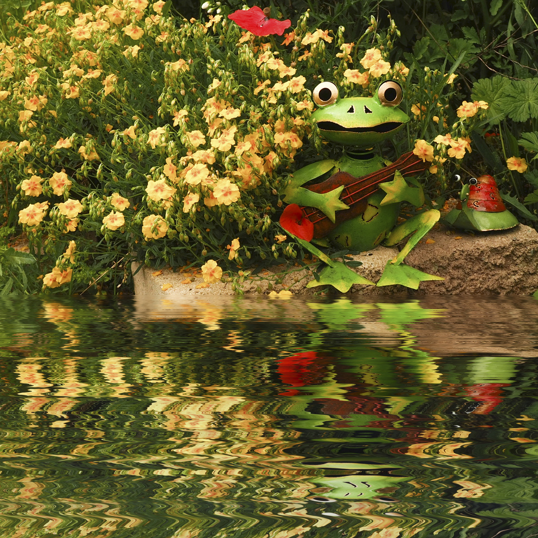 The singing frog