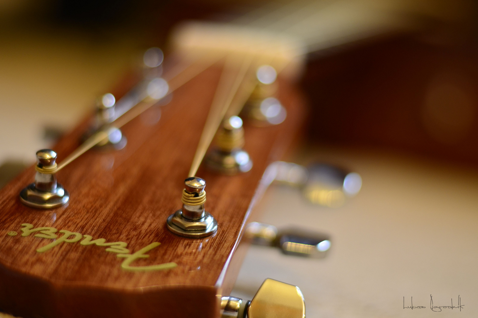 The six strings on a guitar