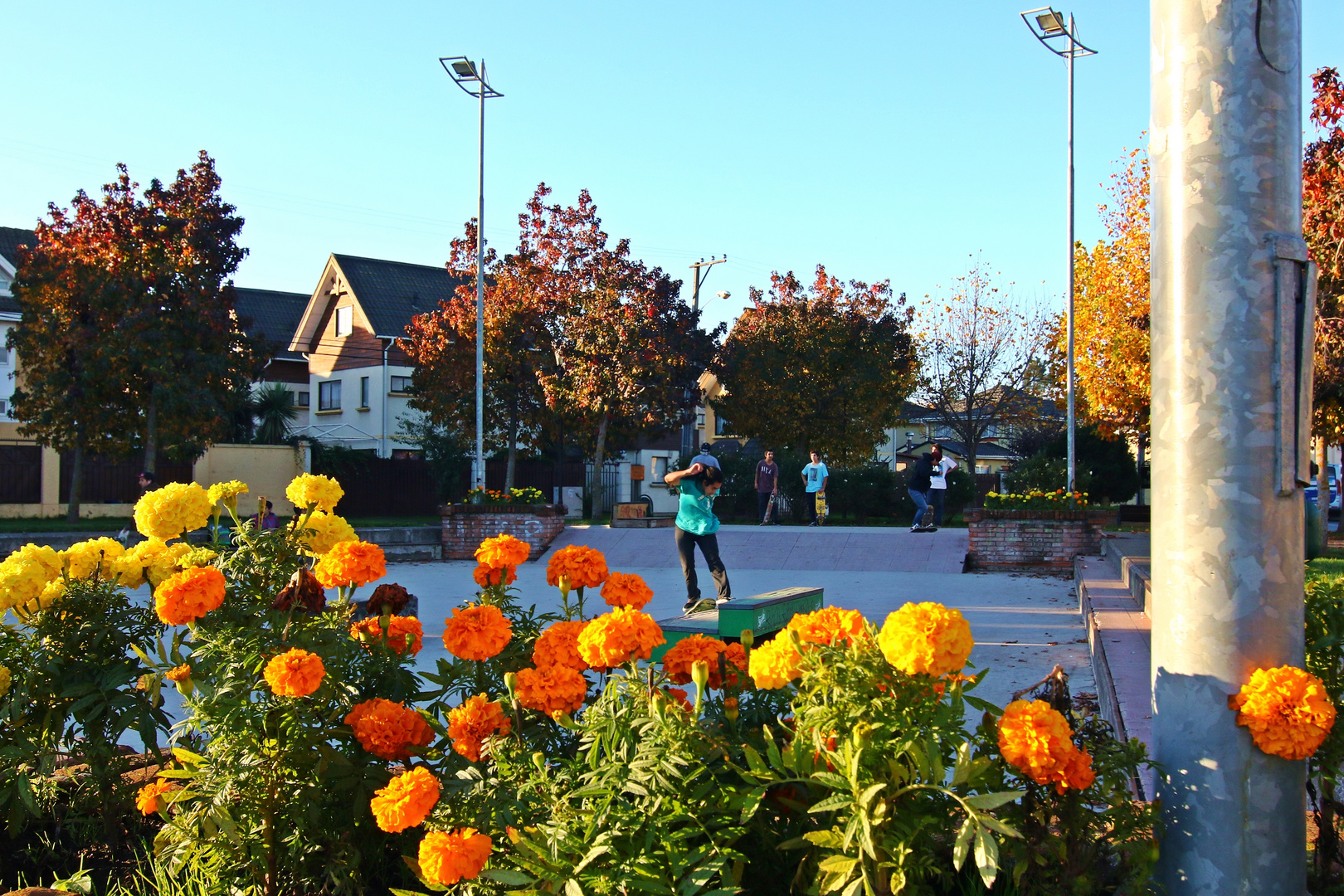 The skateboard court