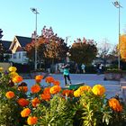 The skateboard court