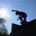 the skater and the sun